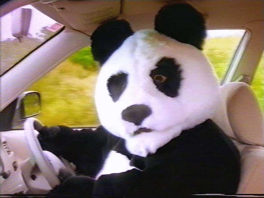 Panda driving